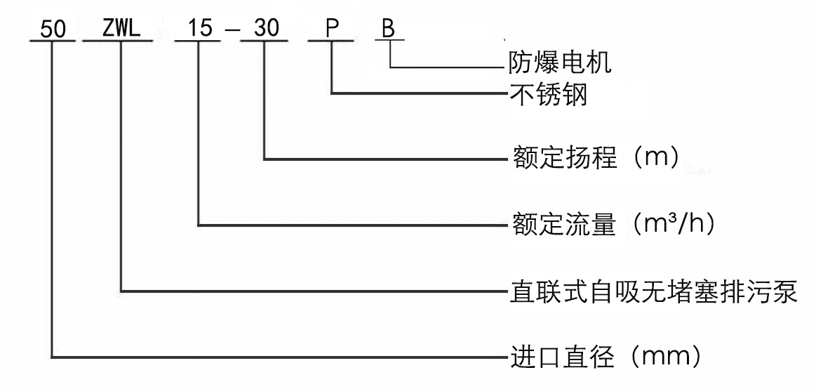 ZW直連式自吸排污泵ZW直連式自吸排污泵ZW直連式自吸排污泵ZW直連式自吸排污泵ZW直連式自吸排污泵ZW直連式自吸排污泵ZW直連式自吸排污泵ZW直連式自吸排污泵ZW直連式自吸排污泵ZW直連式自吸排污泵ZW直連式自吸排污泵ZW直連式自吸排污泵ZW直連式自吸排污泵ZW直連式自吸排污泵ZW直連式自吸排污泵ZW直連式自吸排污泵ZW直連式自吸排污泵
